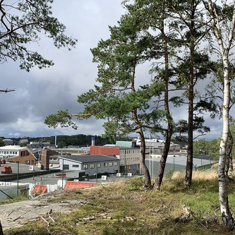 Grönstruktur i Högsbo-Frölunda